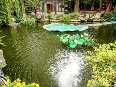 -白家大院·王府宫廷菜(苏州街店)