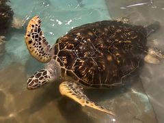 -台州海洋世界