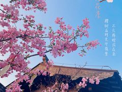 -东台西溪天仙缘景区