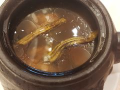 石斛排骨功夫汤-聚福宝合苑食府(南头镇店)