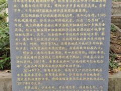 -滴水岩森林公园