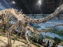 -自贡恐龙博物馆