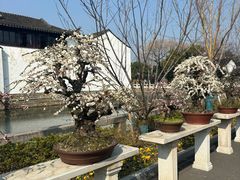 -相门城墙文化休闲景区