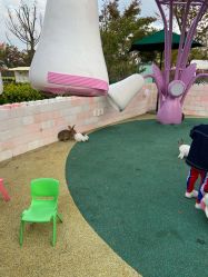 -季高兔窝窝亲子园(上海薰衣草公园店)