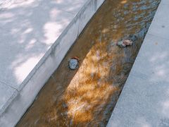 -陕西师范大学(雁塔校区)