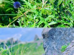 -白草畔自然风景区