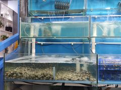 水产区-老虎滩大连海鲜烧烤(建邺云锦路总店)