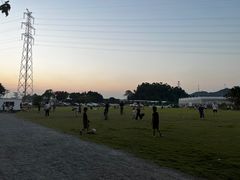 -长洲岛都市农业公园