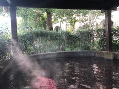 -杭州第一世界大酒店·云曼温泉