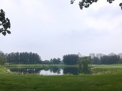 -北京鸿华高尔夫练习场
