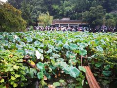 -韶山毛泽东同志故居