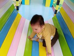 游乐设施-南宫五洲植物乐园