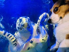 -太平洋海底世界