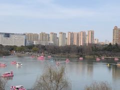 -青枫公园