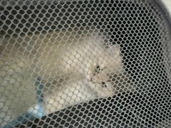 -爱派特动物医院·全科诊疗中心