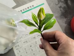 -矮子馅饼(大成路店)