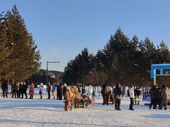 -北极村旅游风景区