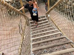 -杭州开元森泊度假乐园