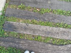 -保利石象湖景区