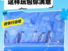 -石家庄极地海洋世界