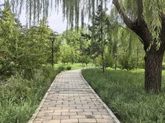 -元大都城垣遗址公园