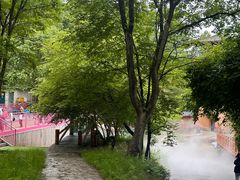 -帽儿山风景区