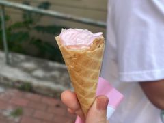 -风车面包