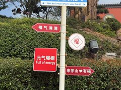 -句容茅山景区