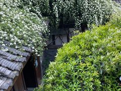 -见山书院