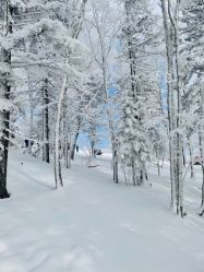 -大秃顶子山