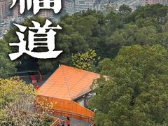 -福道