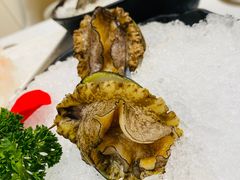 十头鲍鱼-帝皇海海鲜豆捞(桐泾商务广场店)