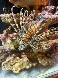 -Zoolung Zoolung动物主题公园(海信广场店)