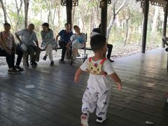 -溱湖国家湿地公园