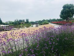 -歌斐颂巧克力小镇