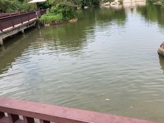 -厦门悦华酒店