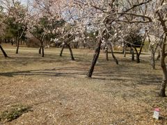 -长春公园(普阳街道)