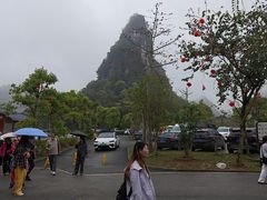 -靖西鹅泉风景区