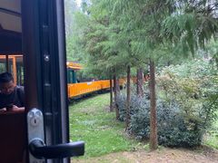 -合肥滨湖国家森林公园