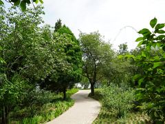 -石家庄市植物园