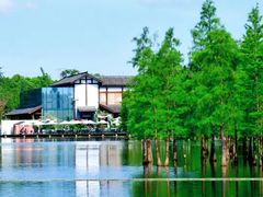 -白鹭湾湿地公园