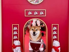 -王府井百货(总府店)