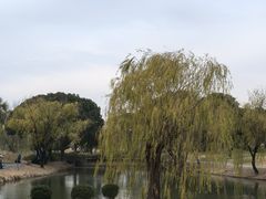 -旭宝高尔夫俱乐部