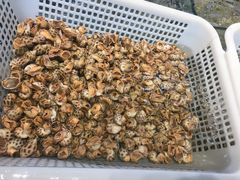 -皮记海鲜1995(寮步店)