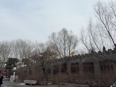 -爱新觉罗皇家博物院