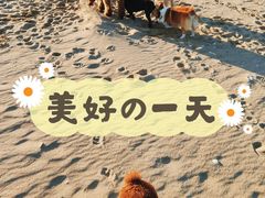 -东戴河风景区