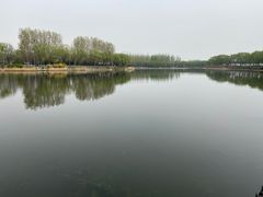 -稻香湖景欢乐岛温泉城堡