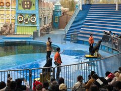 -华夏文旅海洋公园