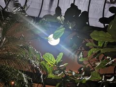 -九尊食上(生态园林酒店)