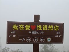 -清溪森林公园